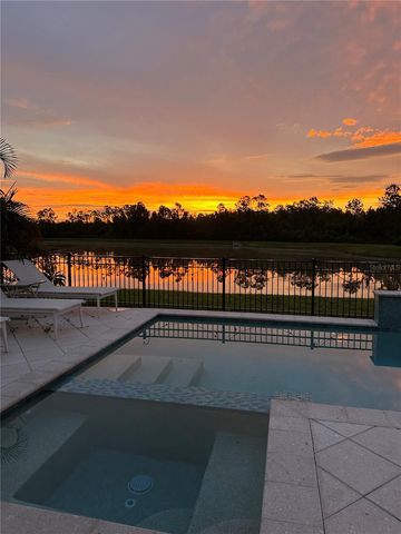 4282 AMPED WAY, Land O Lakes, FL 34638