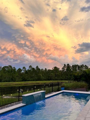 4282 AMPED WAY, Land O Lakes, FL 34638