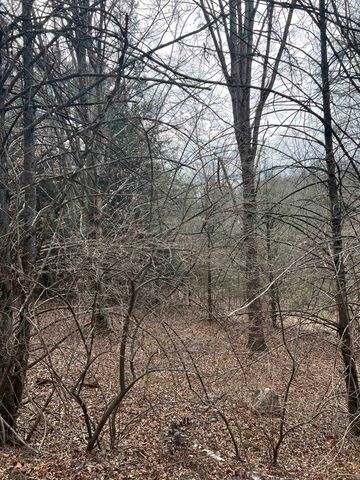 TBd COLD SPRINGS RD, Raphine, VA 24472
