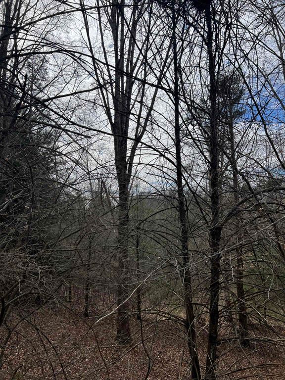 TBd COLD SPRINGS RD, Raphine, VA 24472