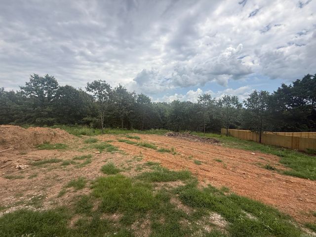 57 Summer Sky Drive, Greenbrier, AR 72058