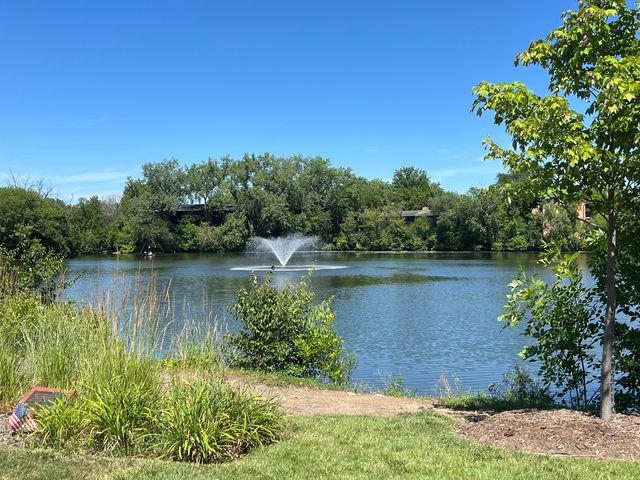 5880 Forest View Road C, Lisle, IL 60532