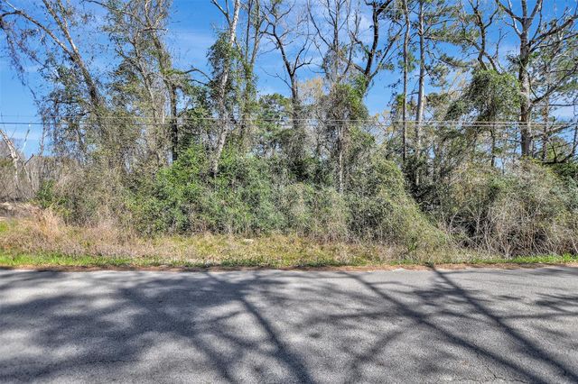 TBD Lot 112 White Birch Lane, Conroe, TX 77385
