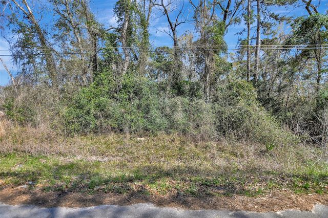 TBD Lot 112 White Birch Lane, Conroe, TX 77385