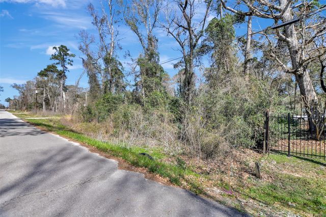 TBD Lot 112 White Birch Lane, Conroe, TX 77385