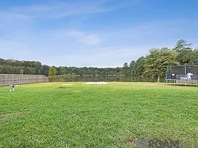 27675 Lakeview Dr, Walker, LA 70785