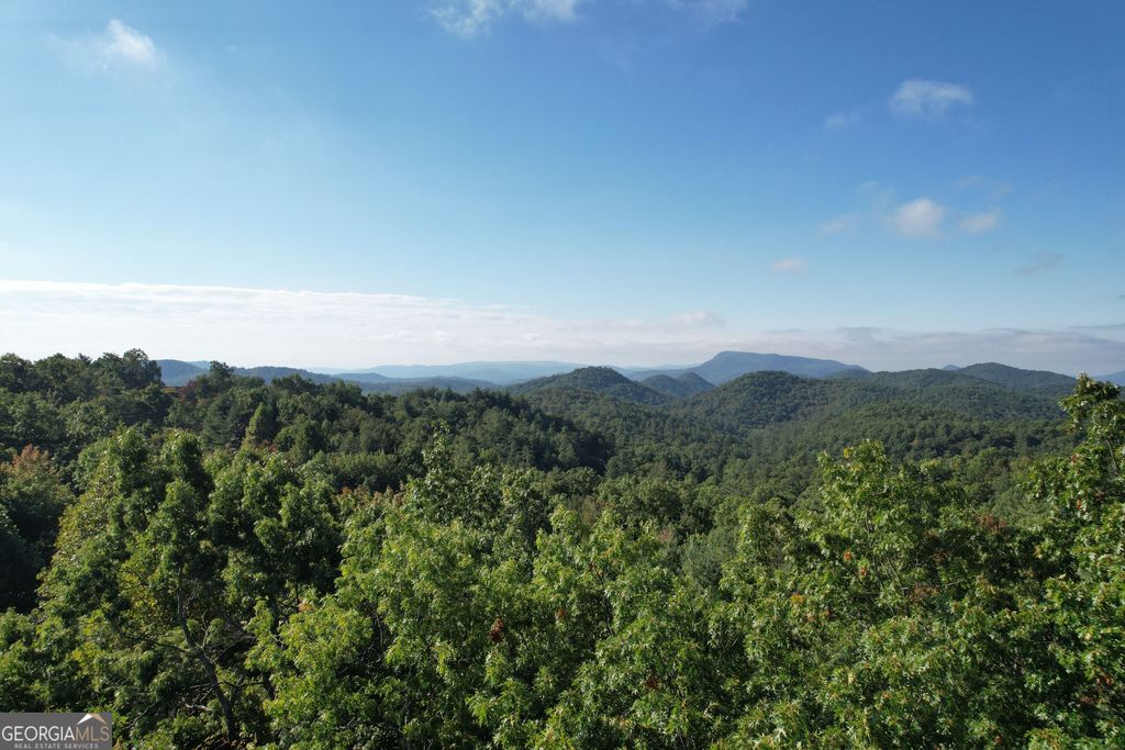LOT #94 Sally Ride Trail, Clayton, GA 30525 — photo 2