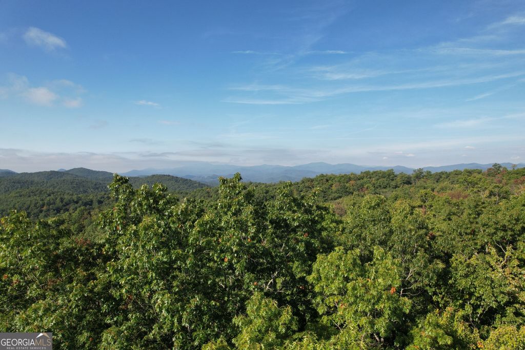 LOT #94 Sally Ride Trail, Clayton, GA 30525 — photo 3