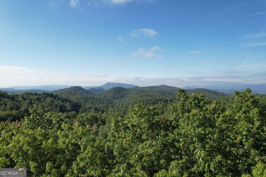 LOT #94 Sally Ride Trail, Clayton, GA 30525 — photo 4