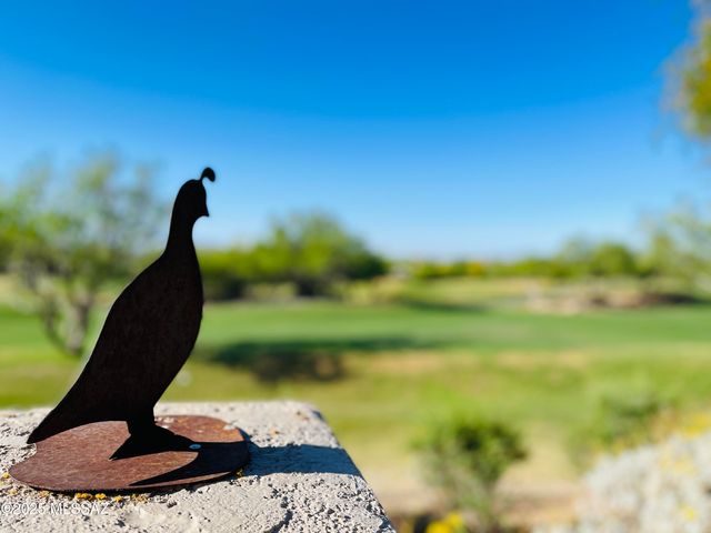 7316 E Calle Alba Serena, Tucson, AZ 85750