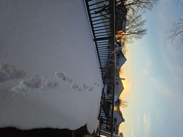 1195 Old Timber Court, Hoffman Estates, IL 60192