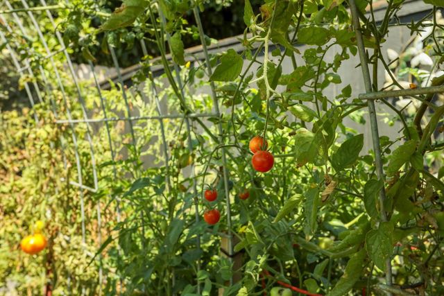 3533 Harpers Ferry Dr, Stockton, CA 95219