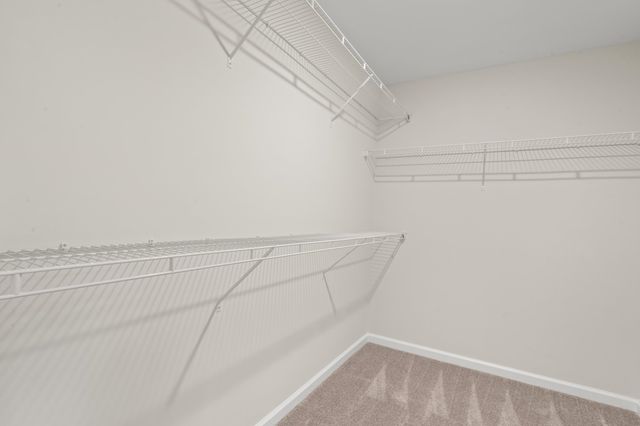 331 Barn Owl Way, Conway, SC 29527