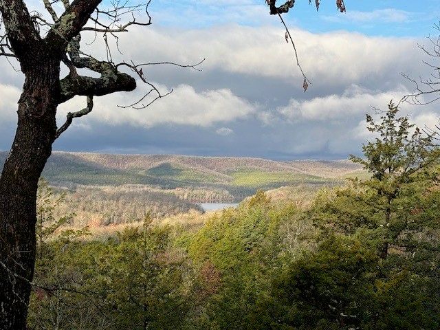 217 Stateline Drive, Holiday Island, AR 72631