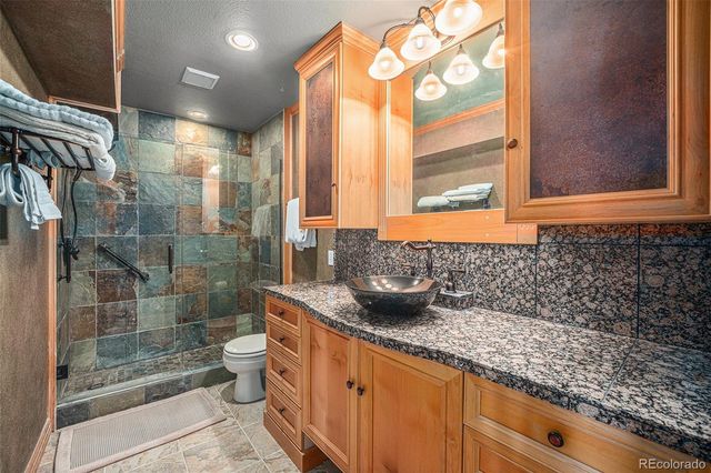 6387 Willow Springs Drive, Morrison, CO 80465