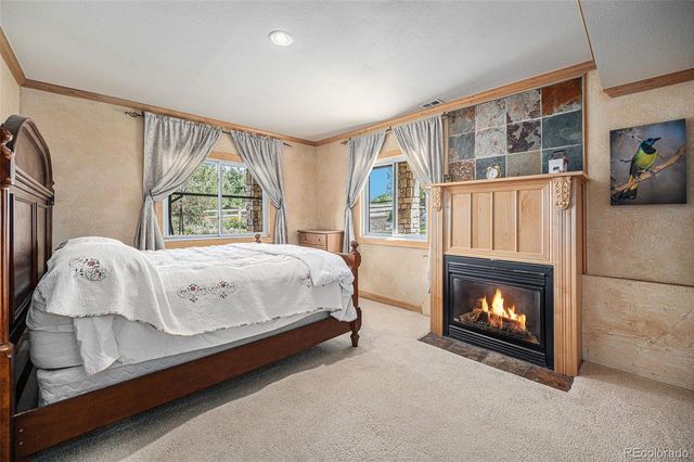 6387 Willow Springs Drive, Morrison, CO 80465