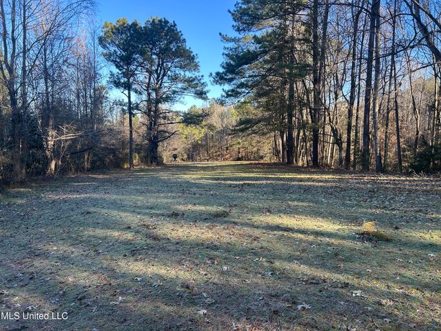 Willie Neyland Road Road, Centreville, MS 39631