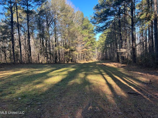 Willie Neyland Road Road, Centreville, MS 39631