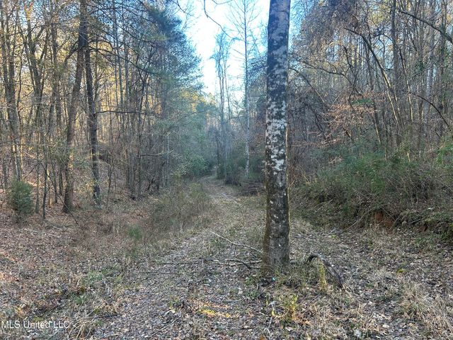 Willie Neyland Road Road, Centreville, MS 39631