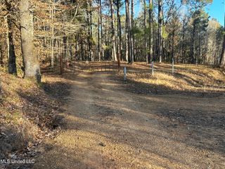 Willie Neyland Road Road, Centreville, MS 39631