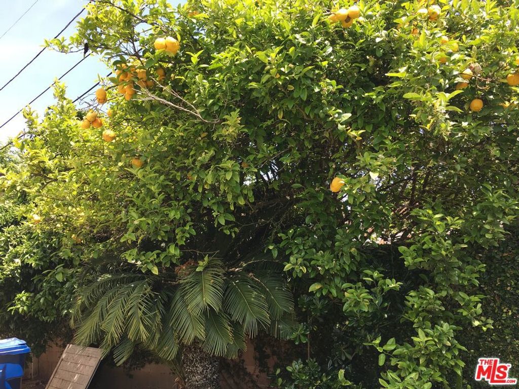Image 7 of property listing at 2816 Tilden Avenue, Los Angeles, CA 90064