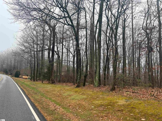 633 Plumley Summit Road, Landrum, SC 29356