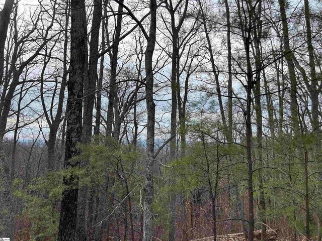 633 Plumley Summit Road, Landrum, SC 29356