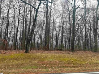 633 Plumley Summit Road, Landrum, SC 29356