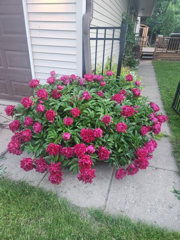 612 7th Avenue W, West Fargo, ND 58078