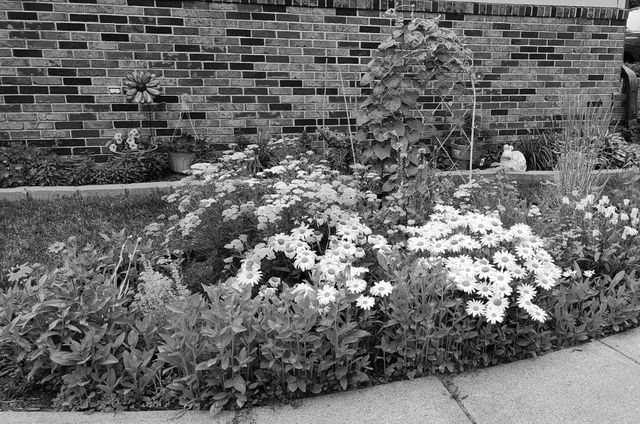 612 7th Avenue W, West Fargo, ND 58078