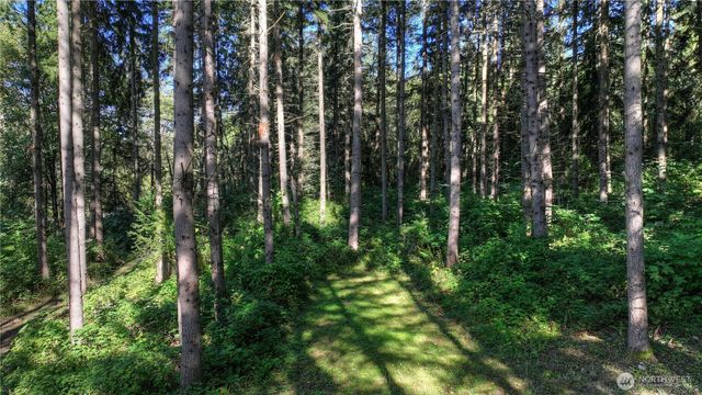 32408 146th Avenue E, Graham, WA 98338