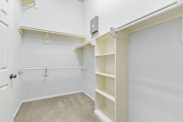 31235 Windcrest Park Lane, Spring, TX 77386