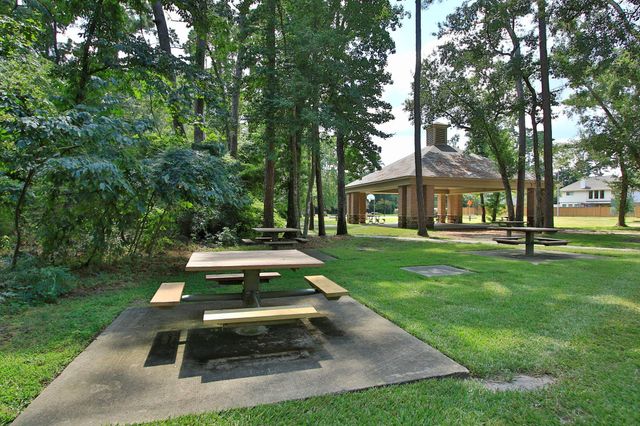 31235 Windcrest Park Lane, Spring, TX 77386