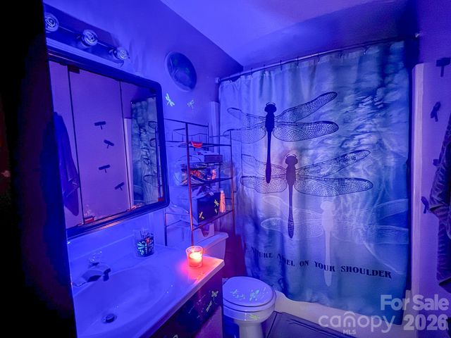 4562 Grassy Creek Road, Denver, NC 28037