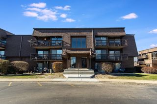 1620 Richmond Circle 208, Joliet, IL 60435