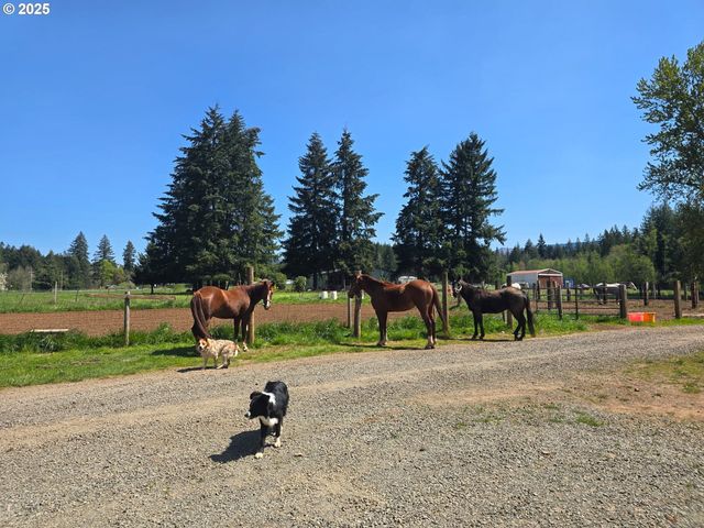 22816 S BONNEY Rd, Colton, OR 97017