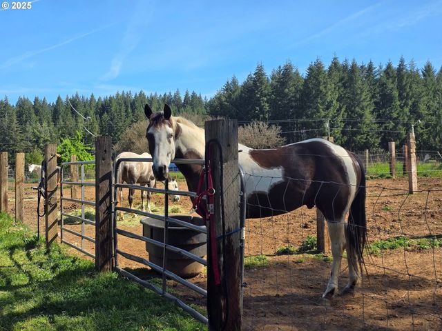 22816 S BONNEY Rd, Colton, OR 97017