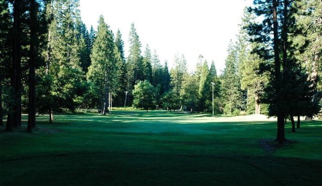 23343 Tanager Dr, Twain Harte, CA 95383