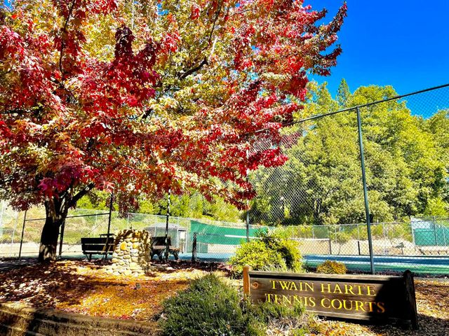 23343 Tanager Dr, Twain Harte, CA 95383