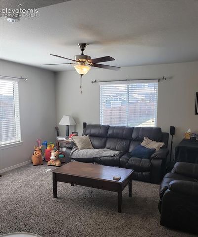 9774 Vistas Park Drive, Peyton, CO 80831