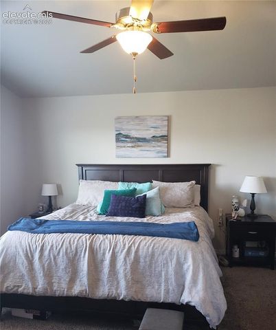 9774 Vistas Park Drive, Peyton, CO 80831