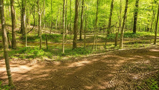 3515 Highway 48, Cunningham, TN 37052