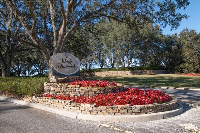 3207 W Wentworth Loop, Lecanto, FL 34461