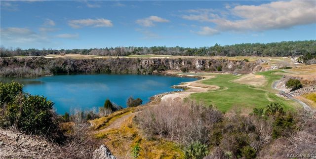 3207 W Wentworth Loop, Lecanto, FL 34461