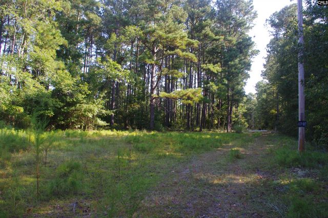 243 Bridalwreath Drive, St. Matthews, SC 29135