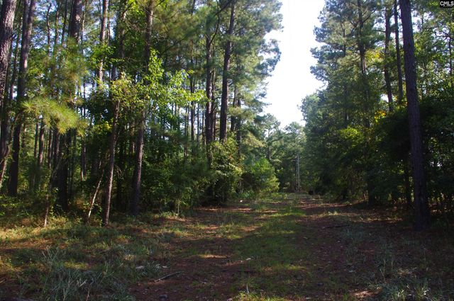 243 Bridalwreath Drive, St. Matthews, SC 29135