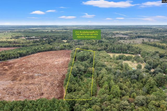 243 Bridalwreath Drive, St. Matthews, SC 29135