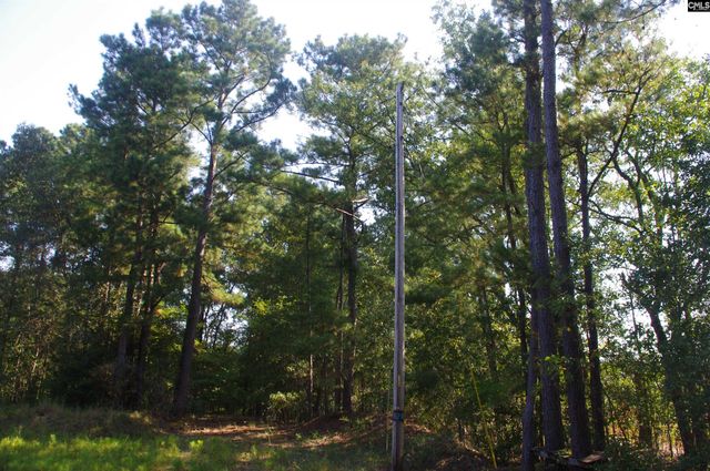 243 Bridalwreath Drive, St. Matthews, SC 29135