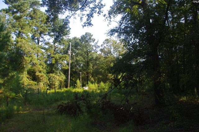 243 Bridalwreath Drive, St. Matthews, SC 29135