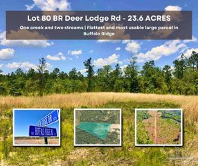 Lot 80 BR Deer Lodge Dr, Pace, FL 32571